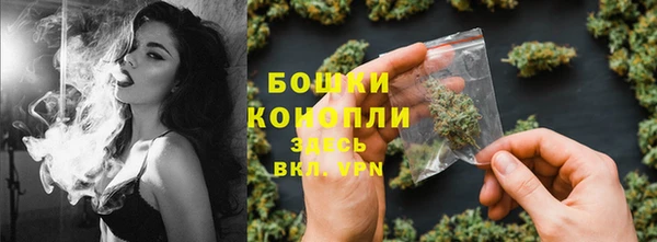 герыч Мегион