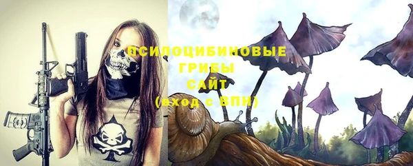 герыч Мегион