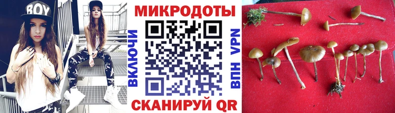 Купить закладки  Можга  Галлюциногенные грибы Psilocybine cubensis 